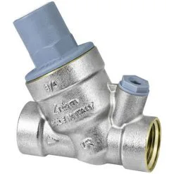 Réducteur De Pression Rinox Plus Avec Filtre FF 1 RBM - 28480600